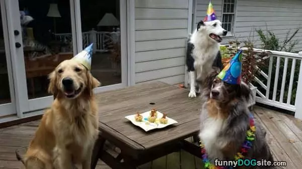 Having A Party