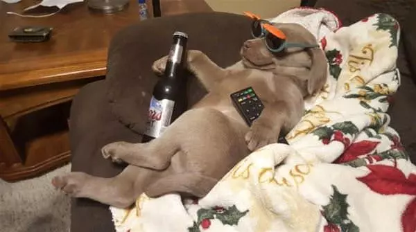 Having A Chill Day