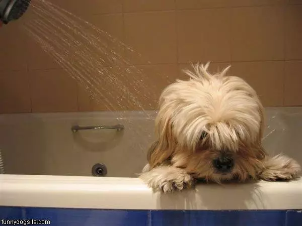 Taking A Shower