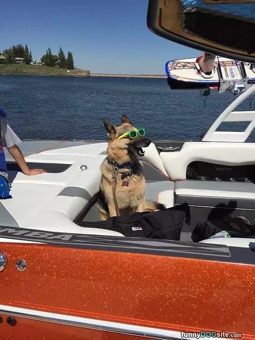 Hanging In The Boat