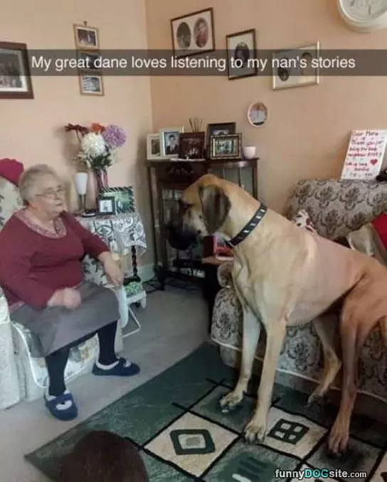 Great Stories