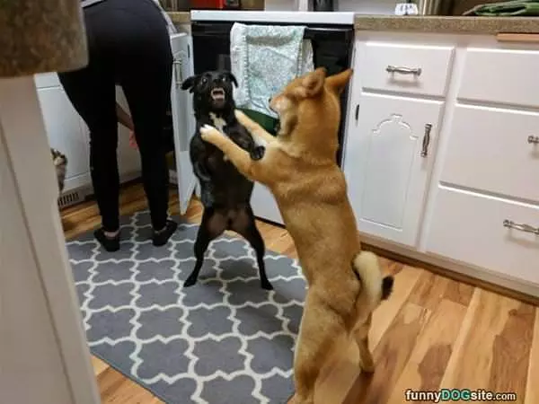 The Snack Was For Me