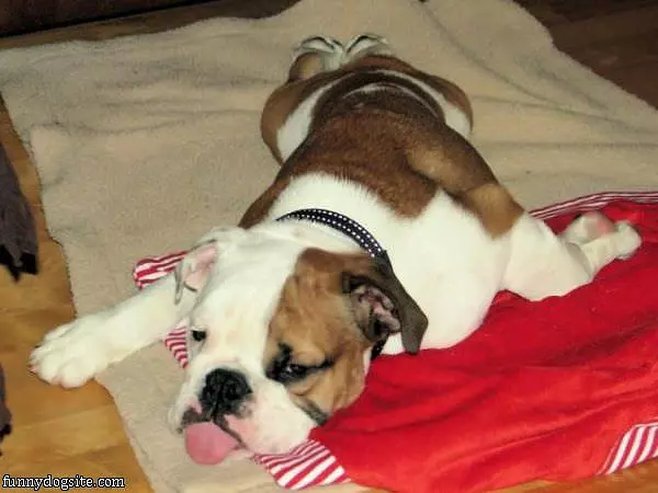 Long Day