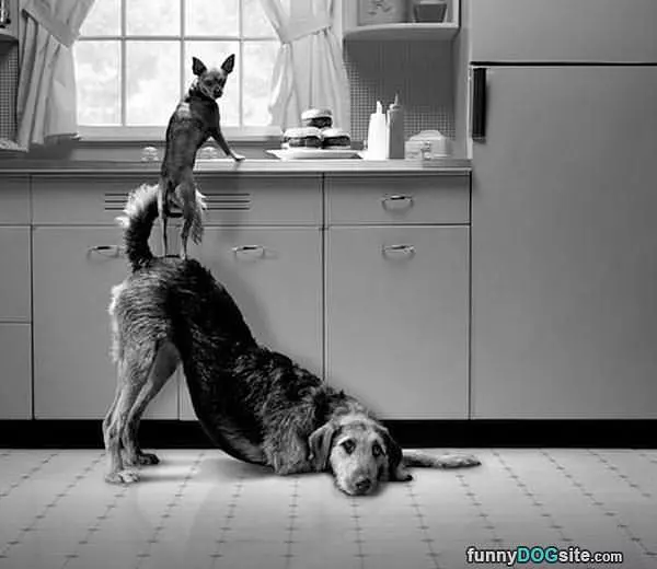 Helping Hand