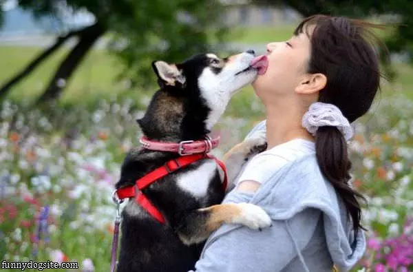 Kisses
