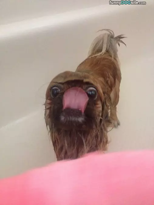 Lickkkkk