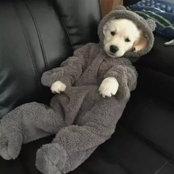 Resting Time