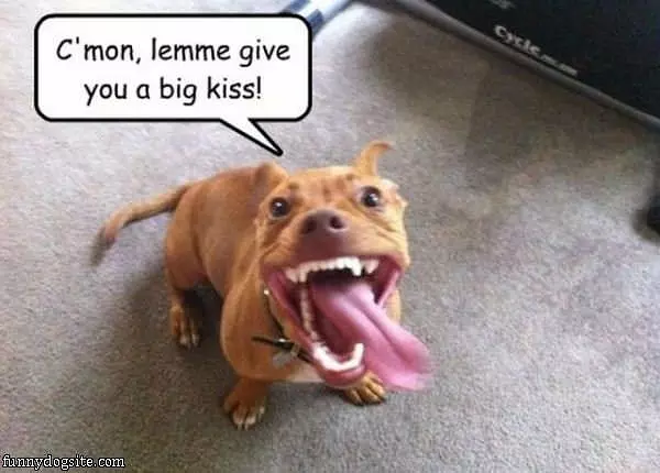 Big Kiss