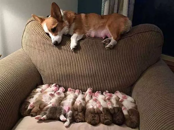 Watching My Little Family