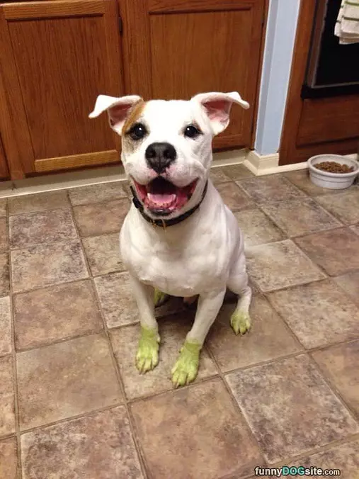 Green Feet