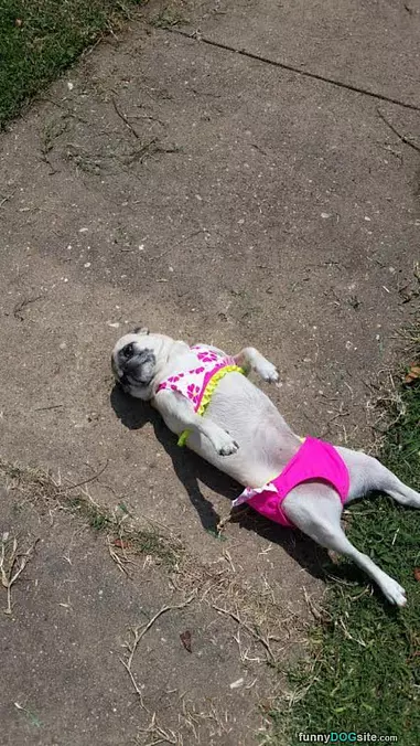 Getting A Little Tan