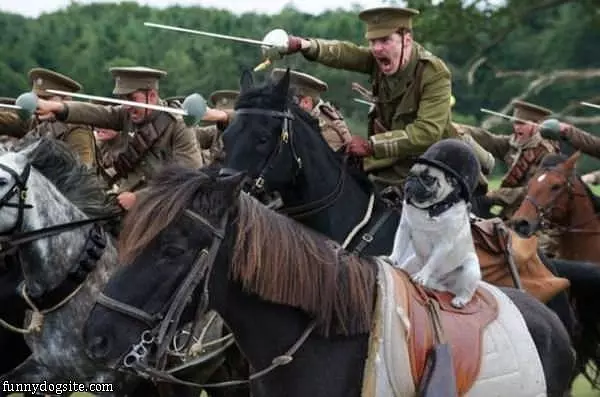 The General