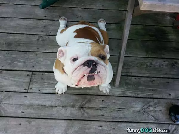 Doing Some Yoga Stretches