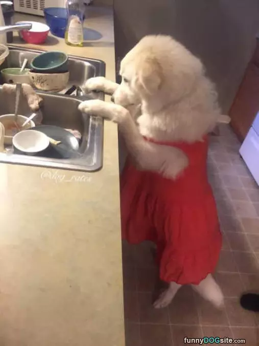 Doing Some Dishes
