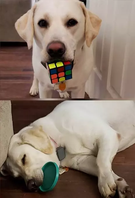 I Like Puzzles