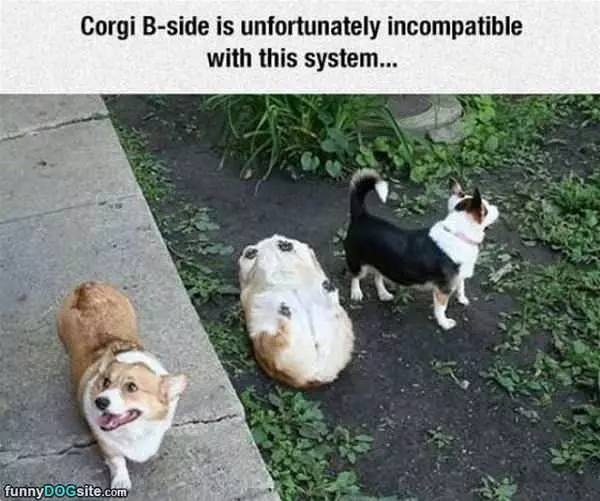 Incompatible