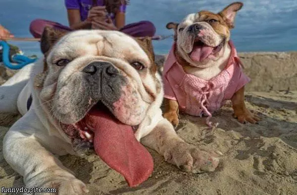 Its A Beach Day