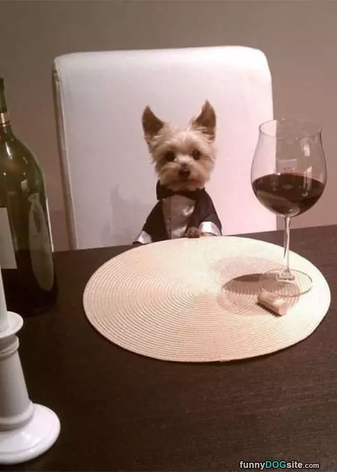Wine And Dine You
