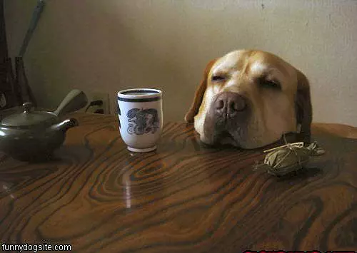 Needs Coffee
