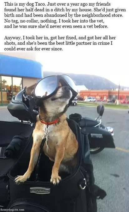 Ready For My Ride
