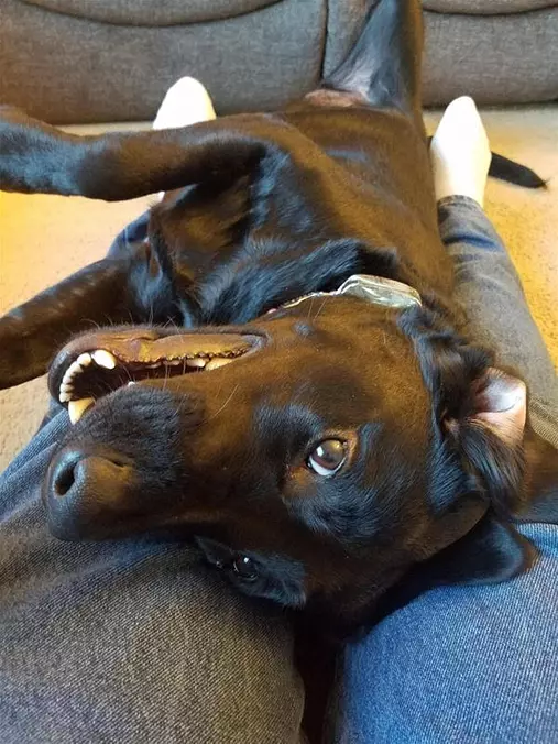 I Want To Play