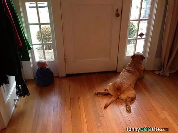 Waiting For Dad