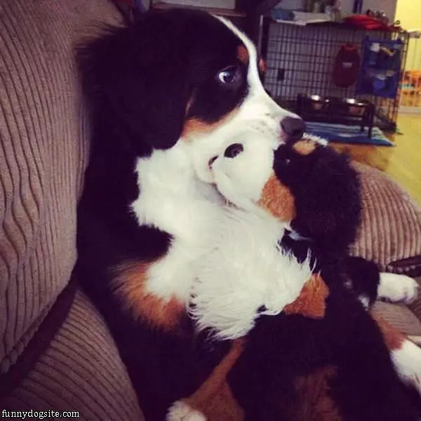 This Is A Nom Nom