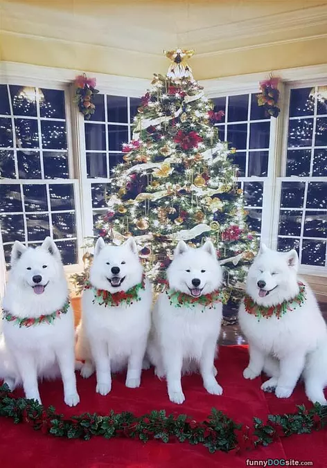 Our Christmas