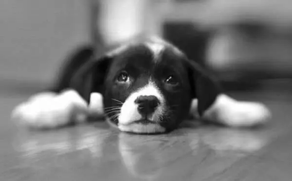 Laying Here Flat