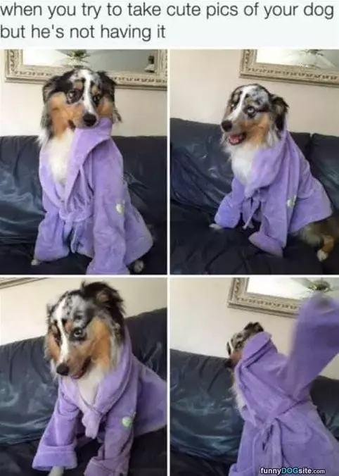 Not Having It
