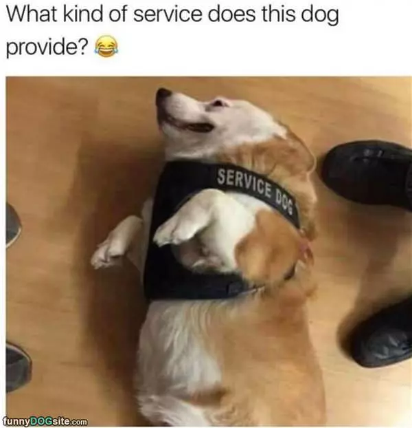 What Kind Of Service