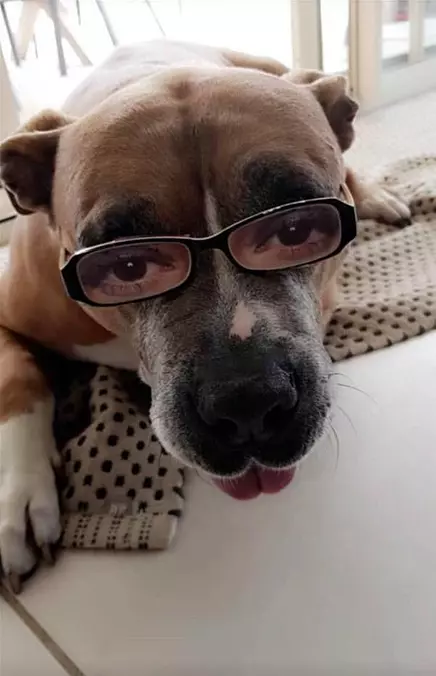 My Glasses