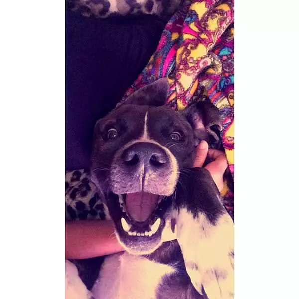 Very Photogenic