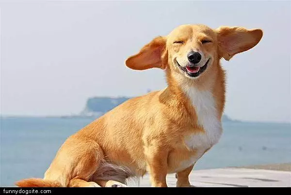 So Bright