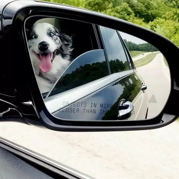 In The Car Riding Around