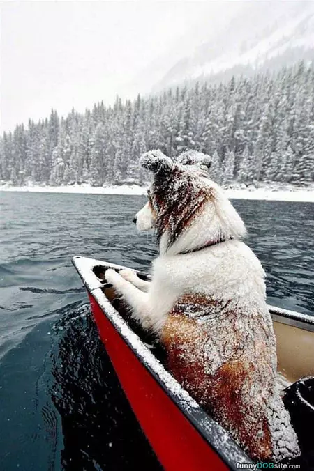 A Fun Snowy Day
