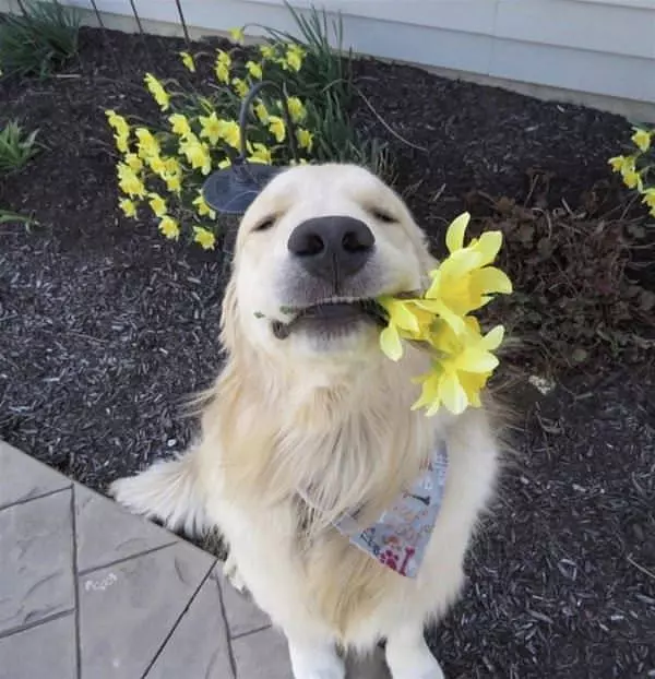 I Got This For You