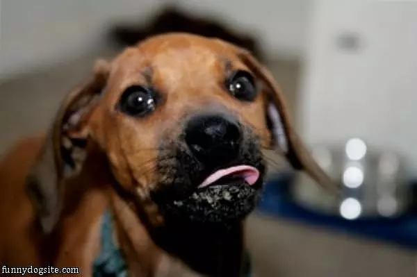 Tongue Sticking Out