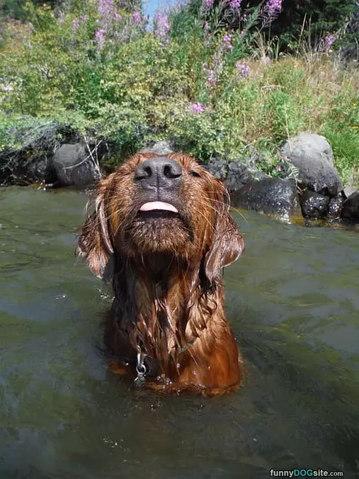 Cooling Off