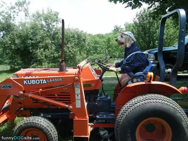 Farming