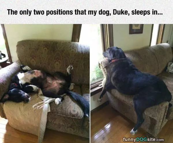 Sleeping Positions