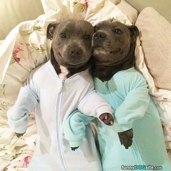 Hanging Out