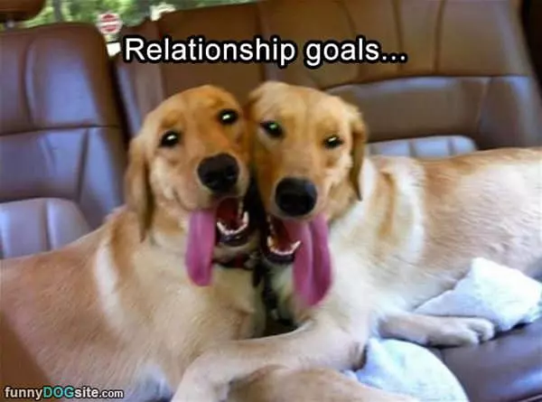 Friendship Goals