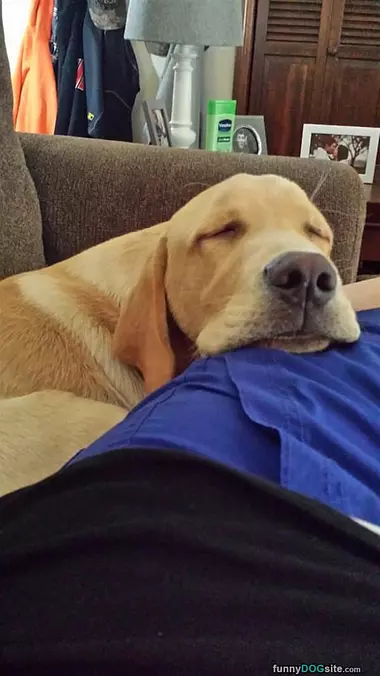 Please Dont Move
