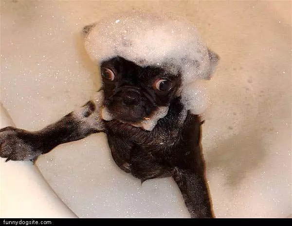 Loves Bath Time