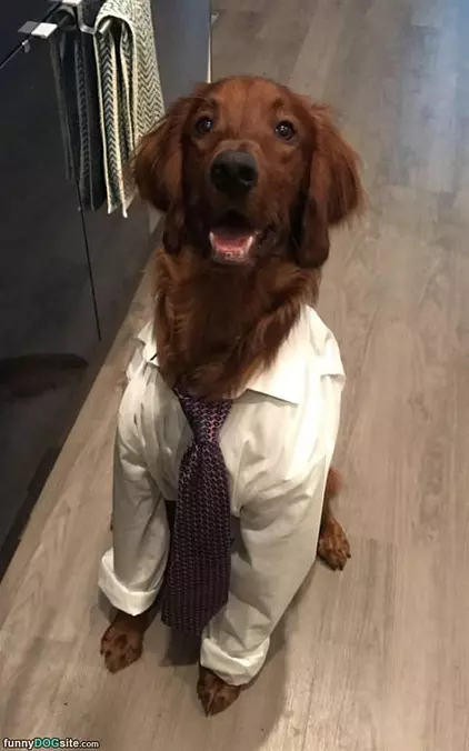 Getting Ready For Work Today