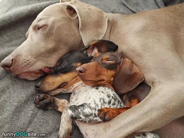 We Are All Cuddled Up