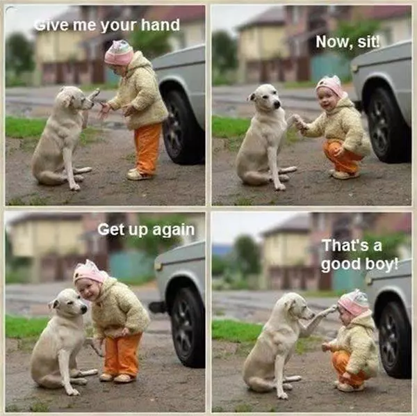 Good Boy