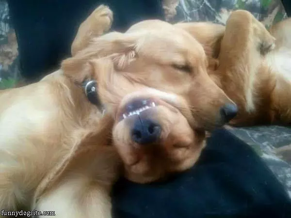 Fun To Sleep Like This