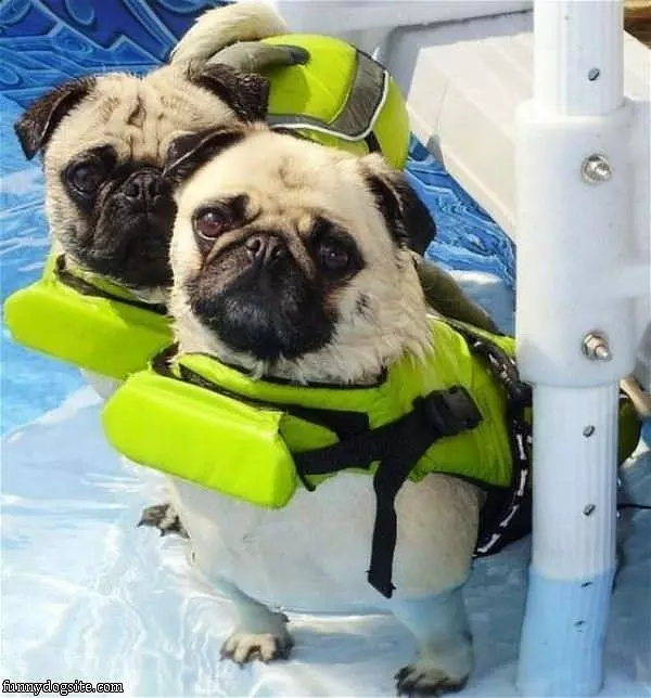 Safe To Swim Now